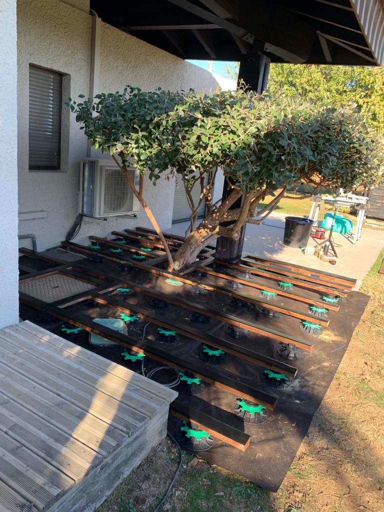 PHOTO-2023-11-16-13-03-03