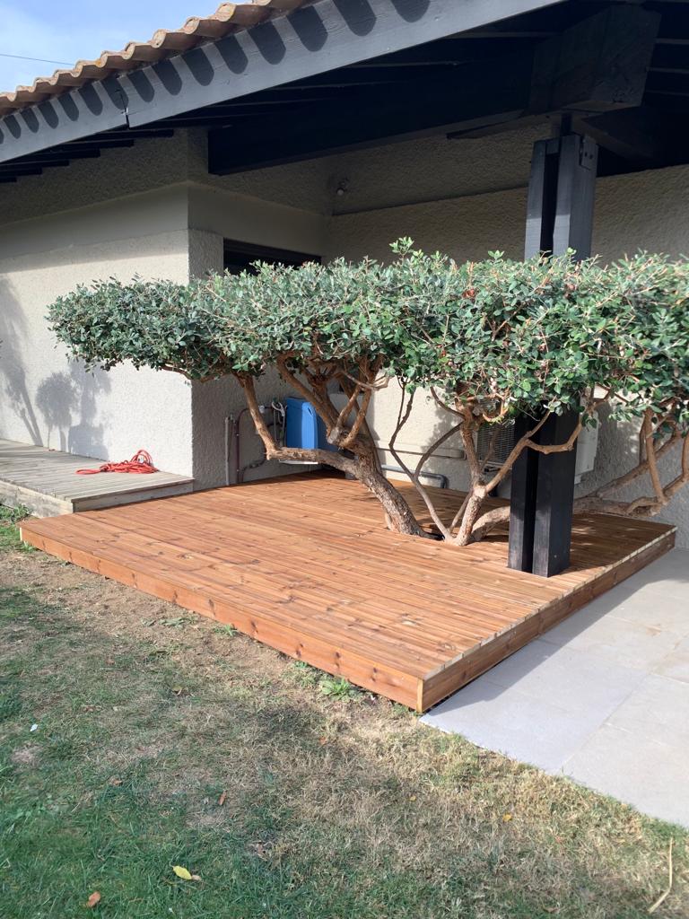 PHOTO-2023-11-16-13-03-04-3