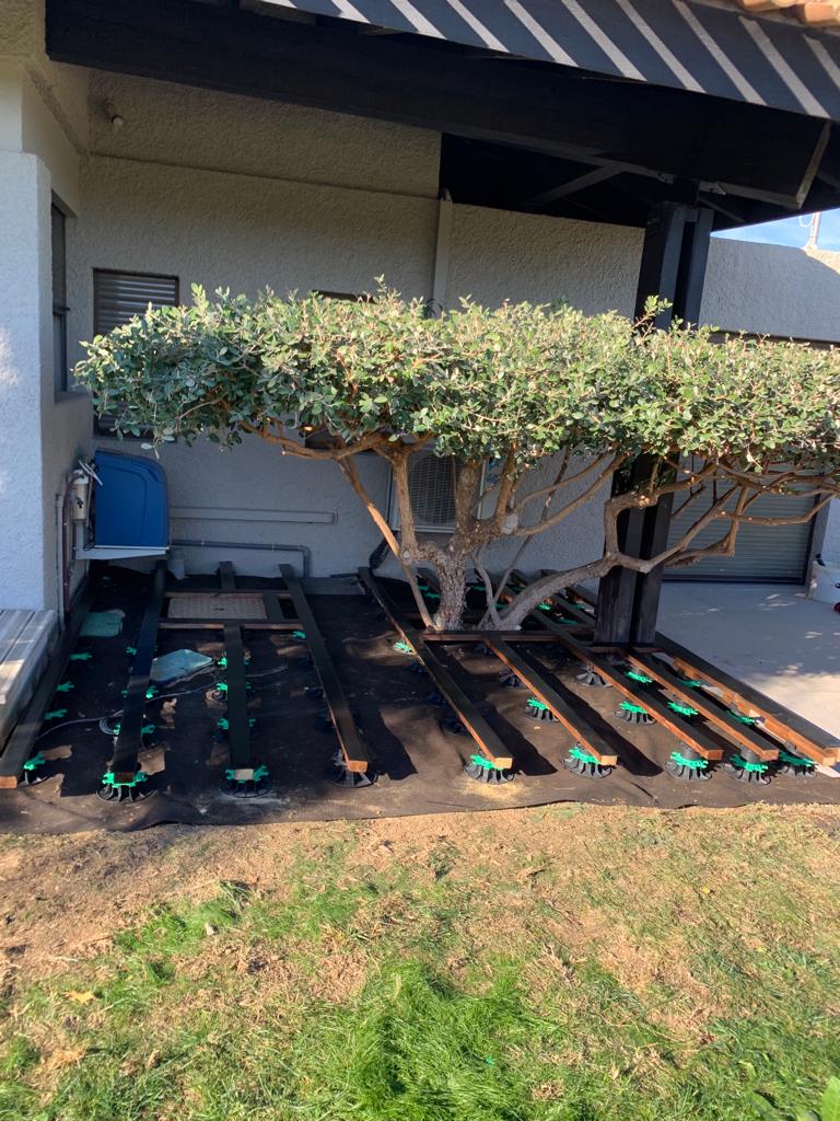 PHOTO-2023-11-16-13-03-04